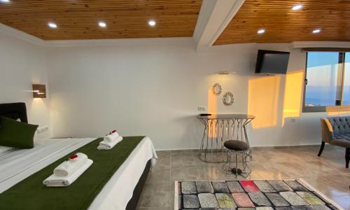 Villa Zeytin Sarnıç — 12