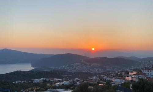 Villa Zeytin Sarnıç — 4