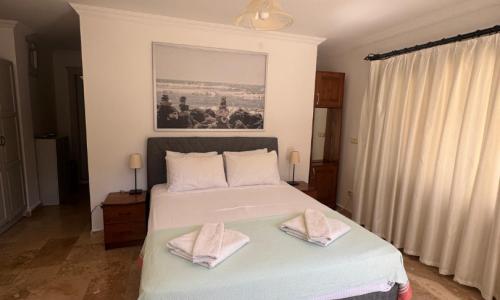 Villa Zeytin Ortaalan — 38